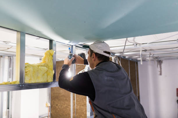Best Fiberglass Insulation in Catlin, IL