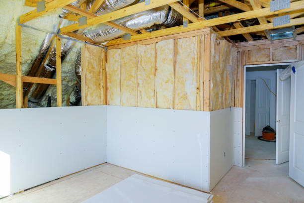 Best Eco-Friendly Insulation in Catlin, IL