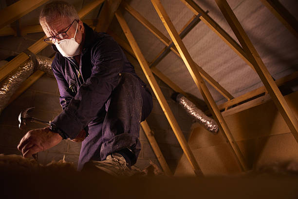 Best Geographic-Specific Insulation Services in Catlin, IL